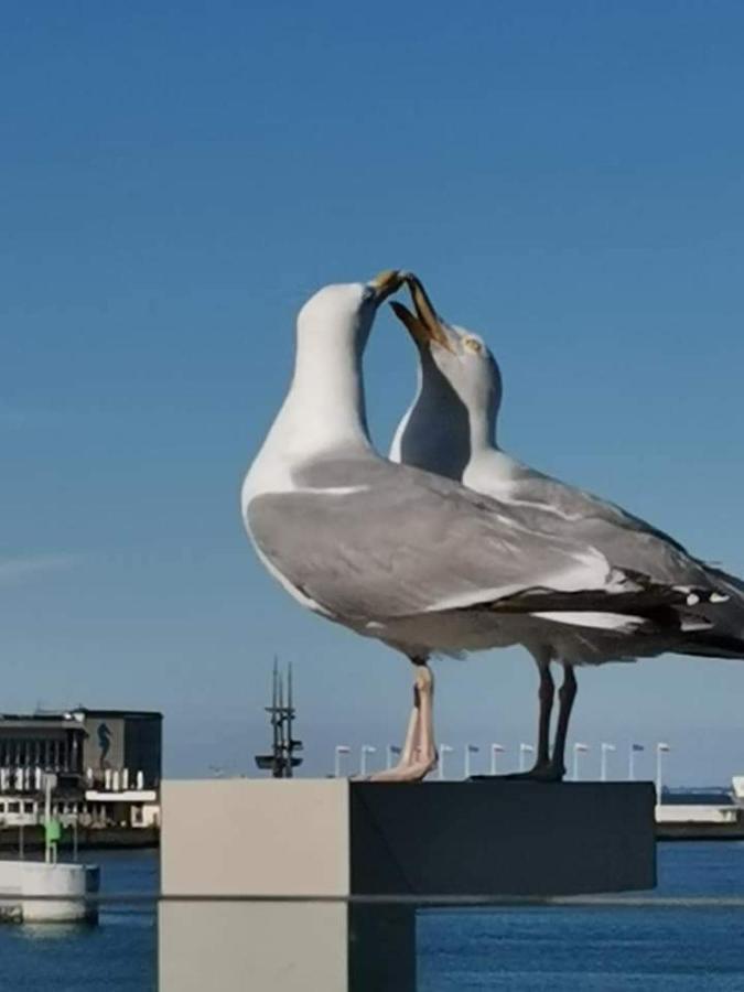 Apartament Blisko Morza Gdyně Exteriér fotografie